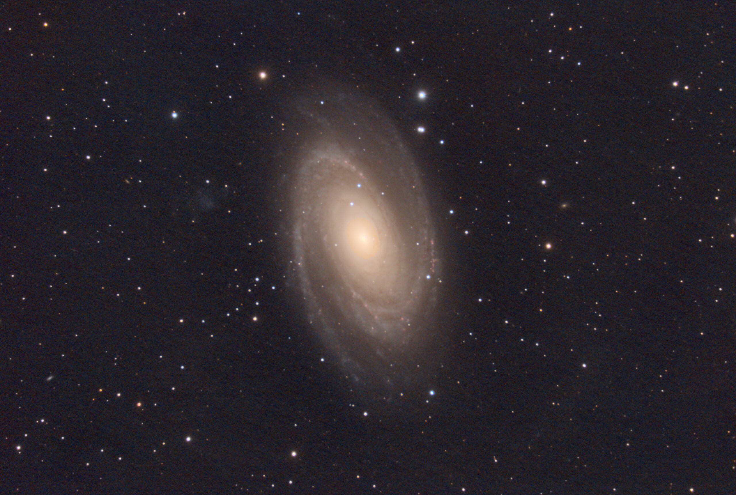 You are currently viewing M81