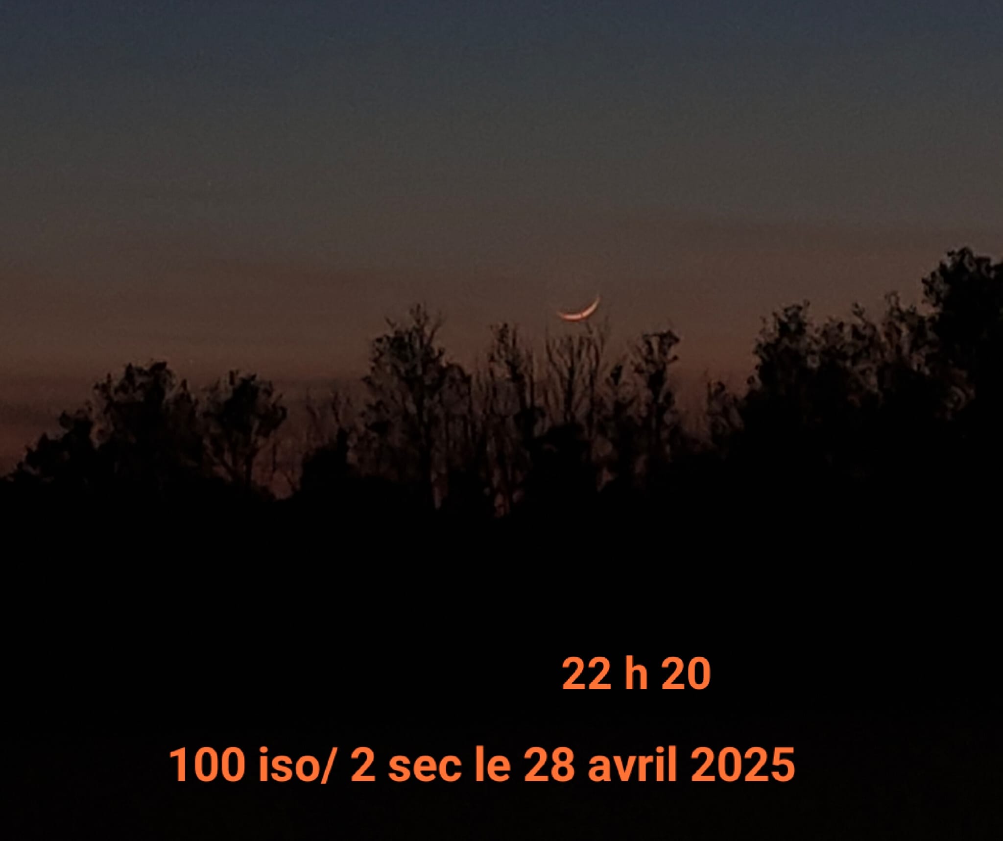 IMG-20250428-WA0001
