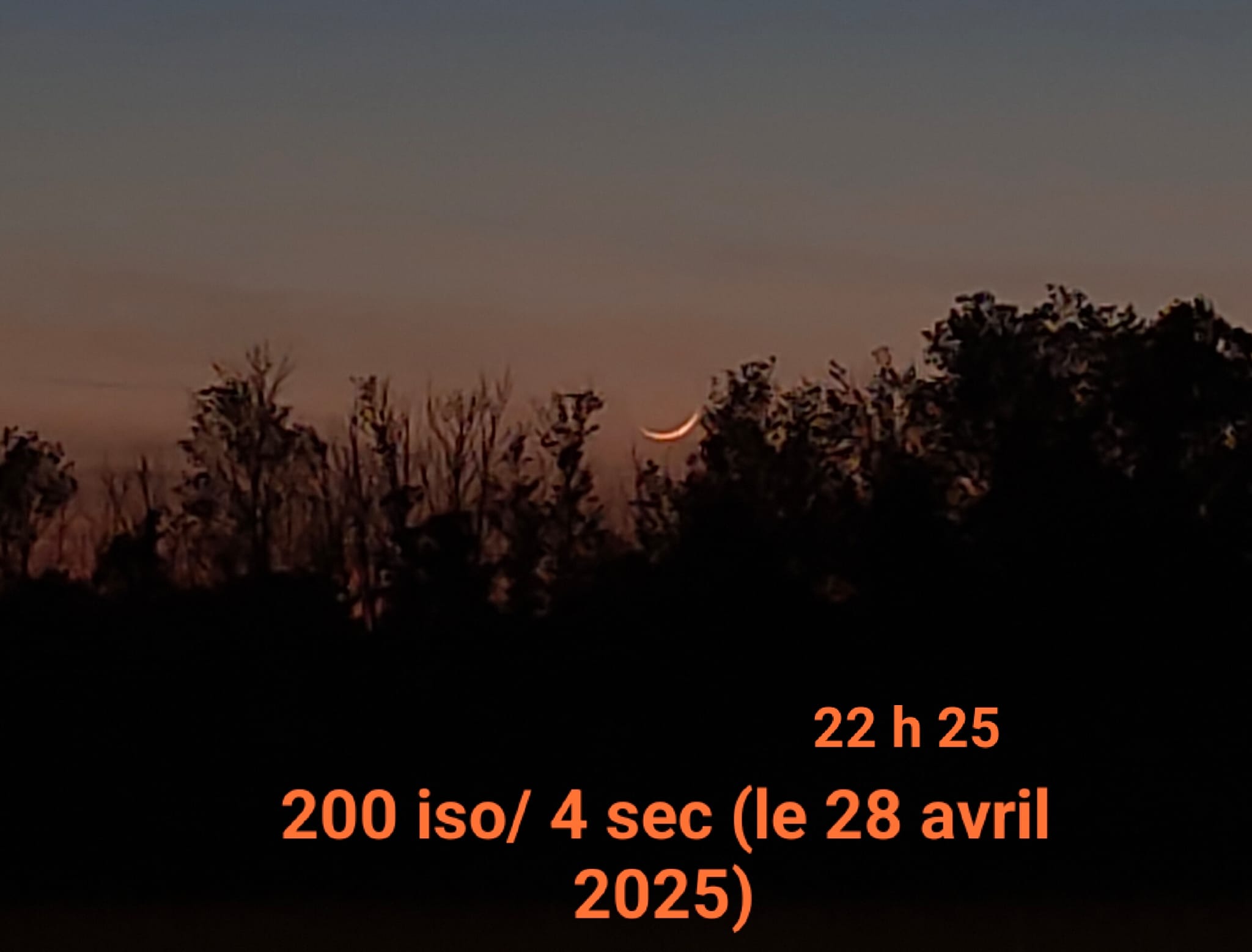 IMG-20250428-WA0004