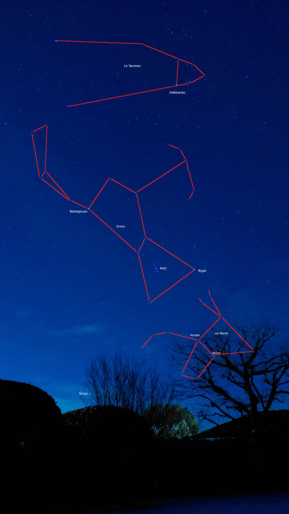 Orion  et le taureau